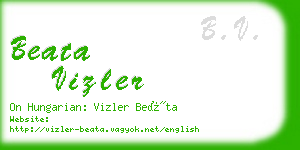 beata vizler business card